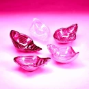 PinkbytheSea