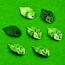 TimeoftheSeasoninGreen