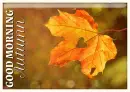 GOOD MORNING AUTUMN