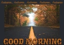 GOOD MORNING (AUTUMN)
