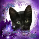 Your Graphic is puurfect-Gina
