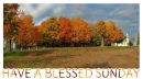 HAVE A BLESSED SUNDAY