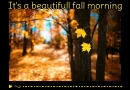 HAVE A BEAUTIFULL FALL MORNING