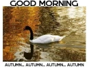 GOOD MORNING (AUTUMN)