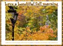 HAVE A BEAUTIFULL FALL MORNING