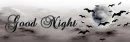 GOOD NIGHT (HALOWEEN.. SPOOKY BATS ECT)