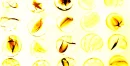 SomethingInTheWaterGold