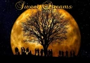 Sweet Dreams (Halloween)