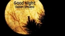 GOOD DREAMSâ€¢SWEET DREAMS