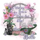 Belle - fg