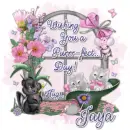 Jaya ~ fg
