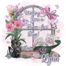 Lynn