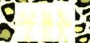 ThreeLittleBirdsPlatinum