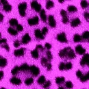 LikeAnAnimalPurple