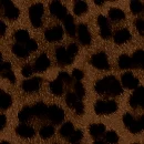 LikeAnAnimalDarkBrown