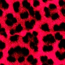 LikeAnAnimalPink