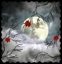 Halloween Night