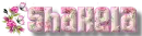 PINK FLOWERS -SHAKELA