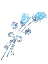 PetalsAqua