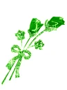 PetalsGreen