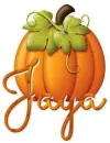 Jaya ðŸŠ