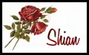 Glitter Roses-Shian