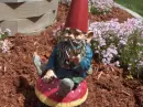 Got Nome?