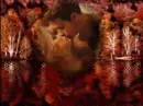 Special Love