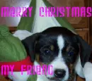 merry christmas!!!
