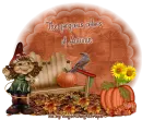 The Gorgeous colors of Autumn