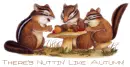 Fall Chipmunks