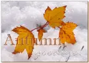 Autumn Goodbye
