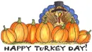 Happy Turkey Day!