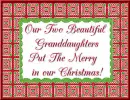 Granddaughters at Christmas!