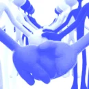 SoHappyTogetherBlue
