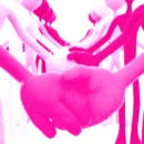 SoHappyTogetherPink