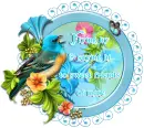Hi friends