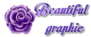 Purple flower