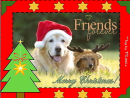 Friendship at Christmas