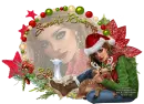 Season's greetings from Shii