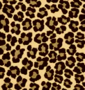 TheLionSleepsTonightDarkChocolate