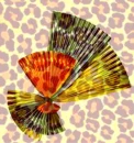 ObjectOfMyAffectionGold