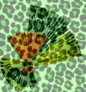 ObjectOfMyAffectionGreen