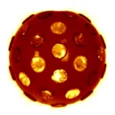 SteppedIntoMyLifeBronze