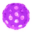 SteppedIntoMyLifePurple