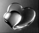 WeConnectSilver