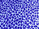 CoolCatBlue