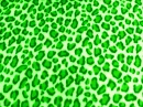 CoolCatGreen