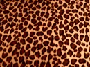 CoolCatBronze
