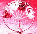 TheGardenPink